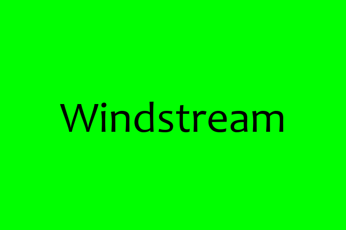 Technology Company Windstream