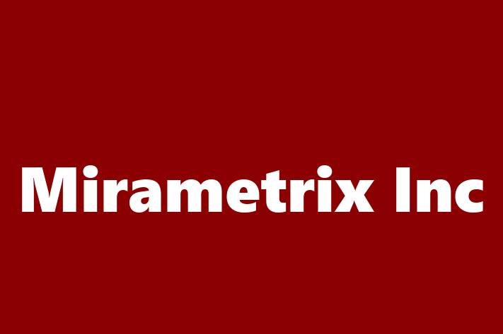 Software Firm Mirametrix Inc