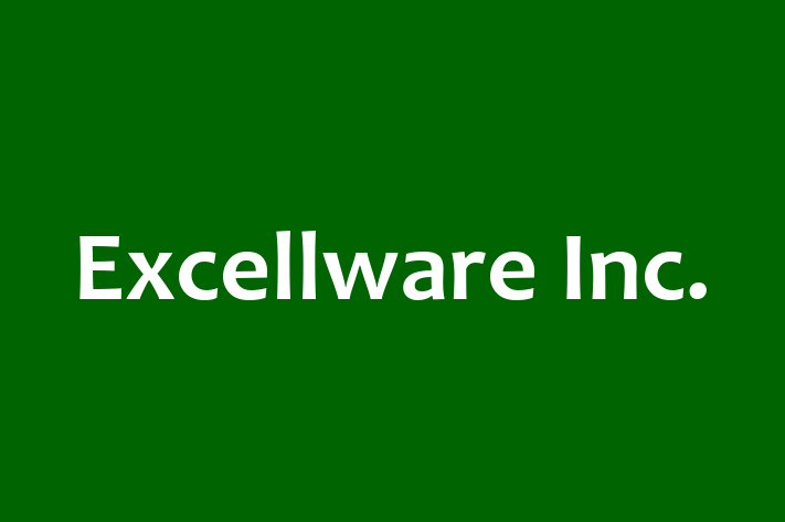 Technology Solutions Firm Excellware Inc.