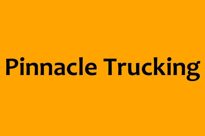 Staff Management Pinnacle Trucking