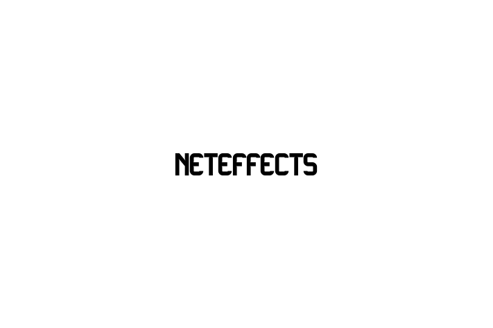 Software Firm NetEffects