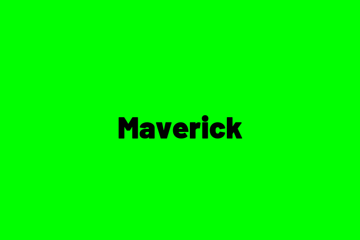 Software Development Firm Maverick