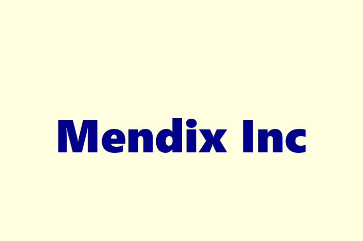 Tech Solutions Company Mendix Inc