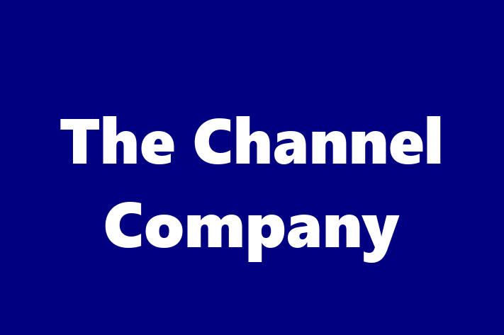 Application Development Company The Channel Company