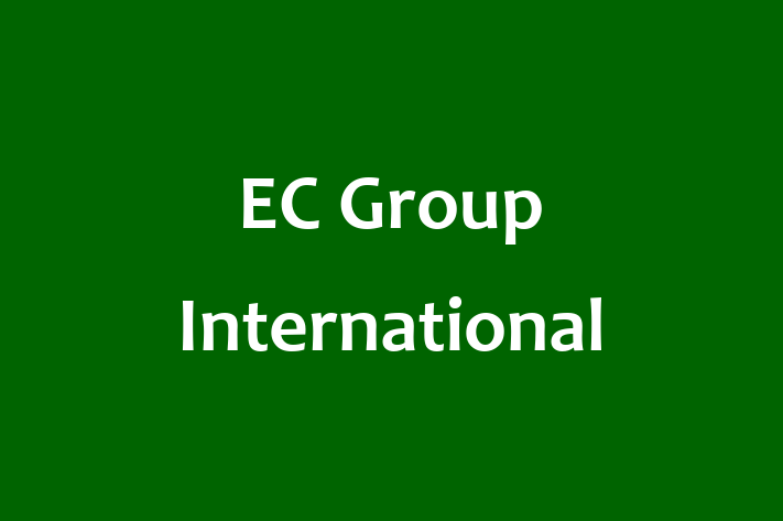 Technology Company EC Group International