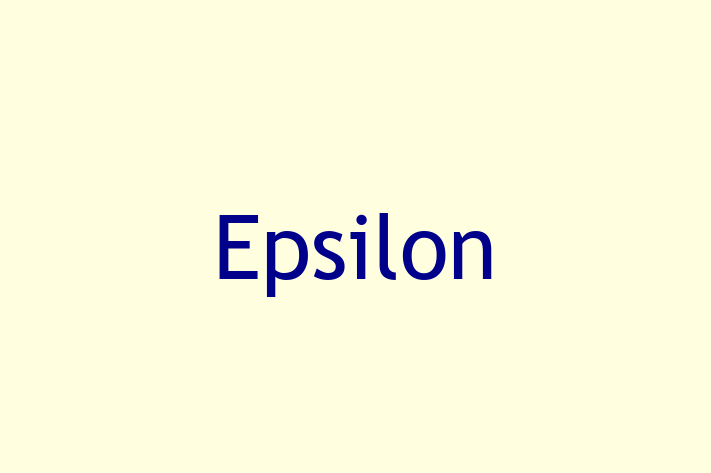 Software Solutions Provider Epsilon