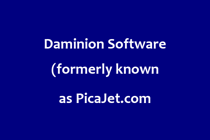 Software Consultancy Daminion Software formerly known as PicaJet.com