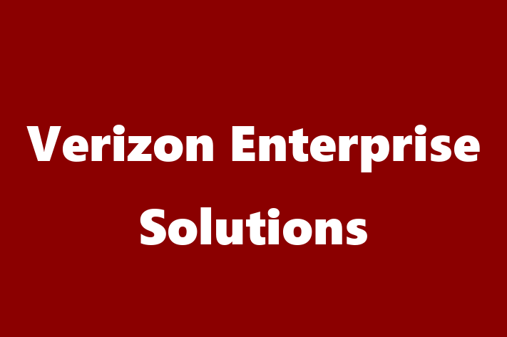 Technology Company Verizon Enterprise Solutions