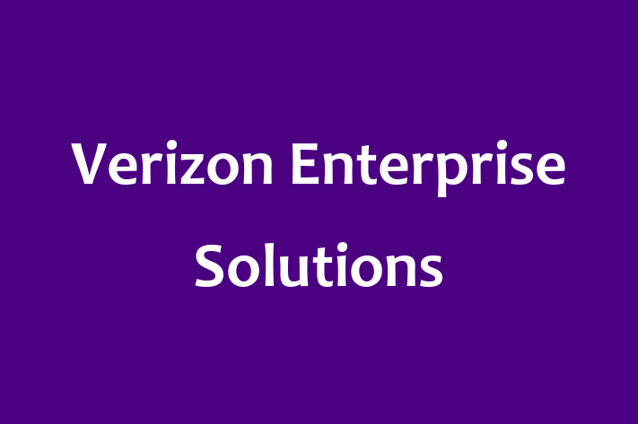 Software Consultancy Verizon Enterprise Solutions