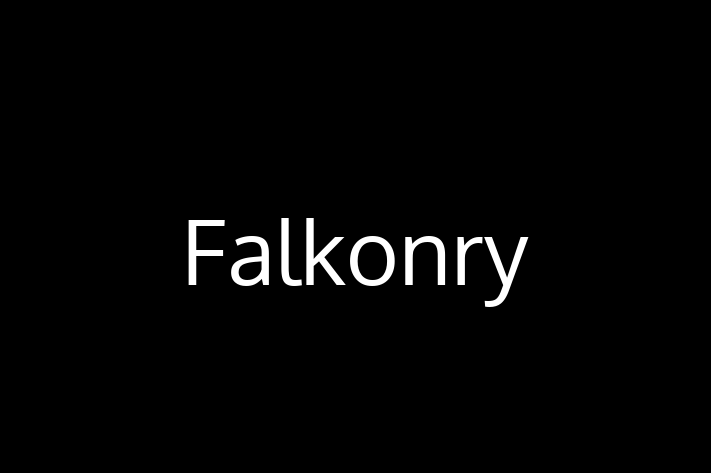 Tech Solutions Company Falkonry