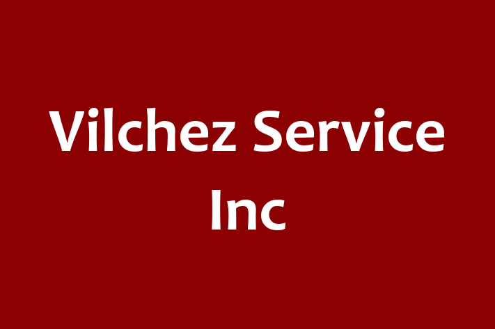 Sanitizing Services Vilchez Service Inc