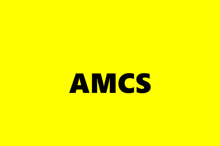 IT Company AMCS