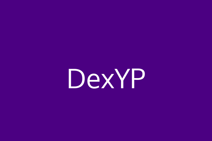 Application Development Company DexYP