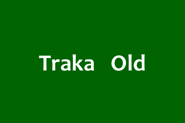 Software Services Company Traka   Old