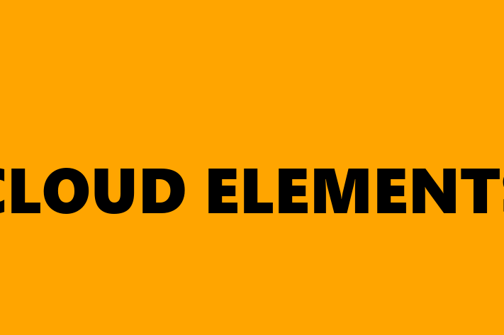 IT Company CLOUD ELEMENTS