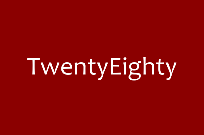 Application Development Company TwentyEighty