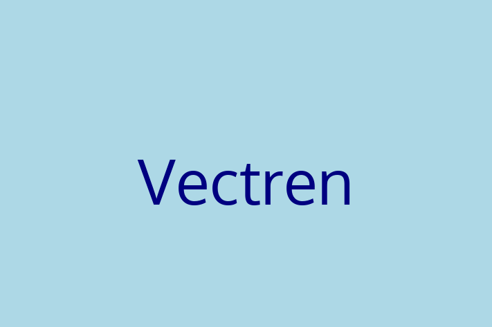 Digital Solutions Provider Vectren