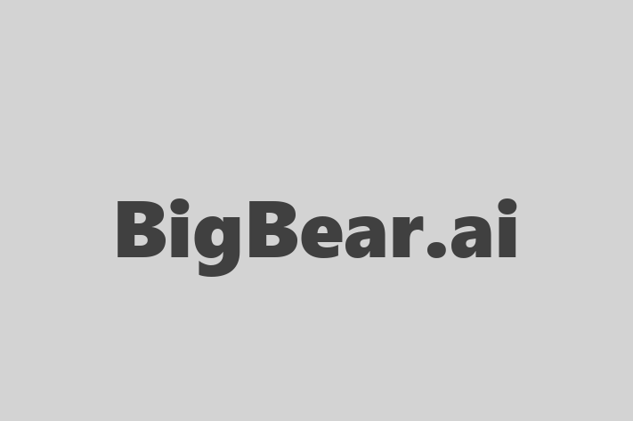 HR Administration BigBear.ai