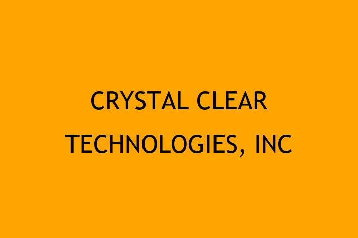 Technology Solutions Firm CRYSTAL CLEAR TECHNOLOGIES INC