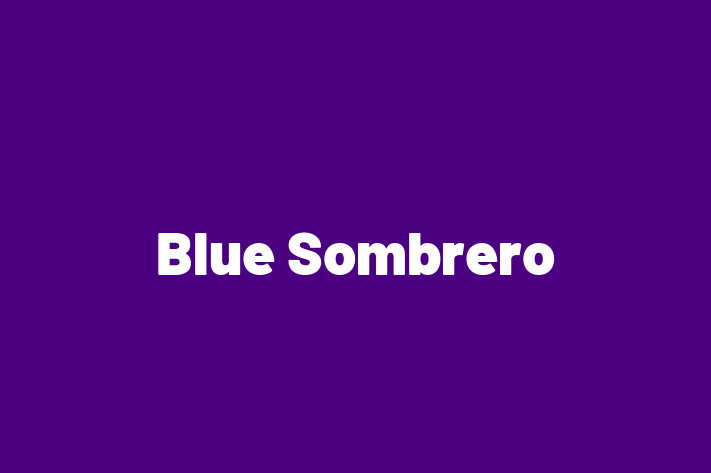 Technology Company Blue Sombrero