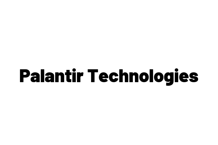 Software Services Company Palantir Technologies