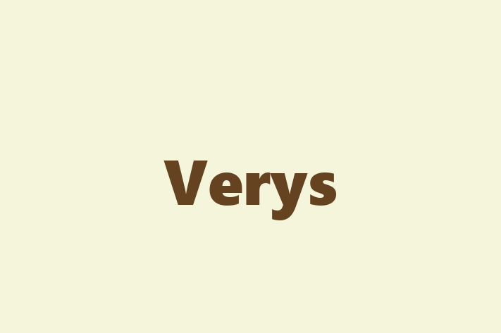 Software Development Firm Verys