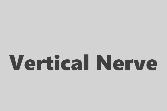 IT Company Vertical Nerve