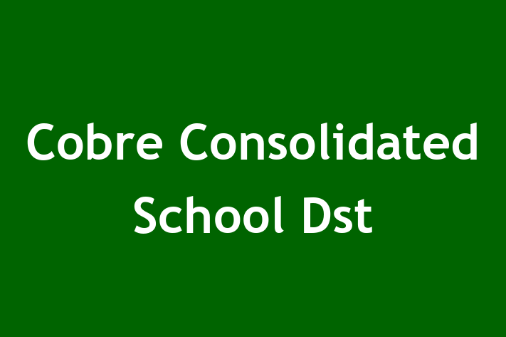 HR Administration Cobre Consolidated School Dst