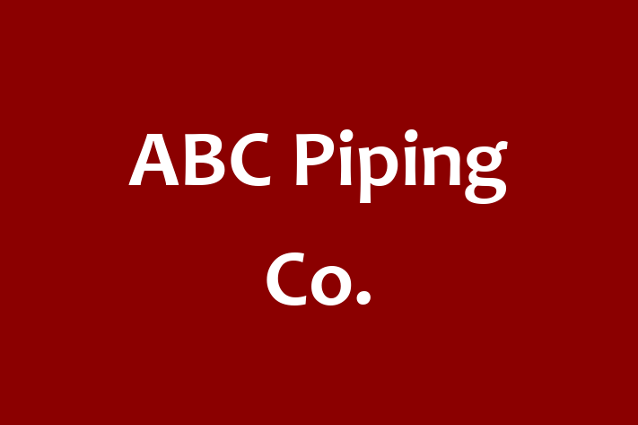 Human Resource Management ABC Piping Co.