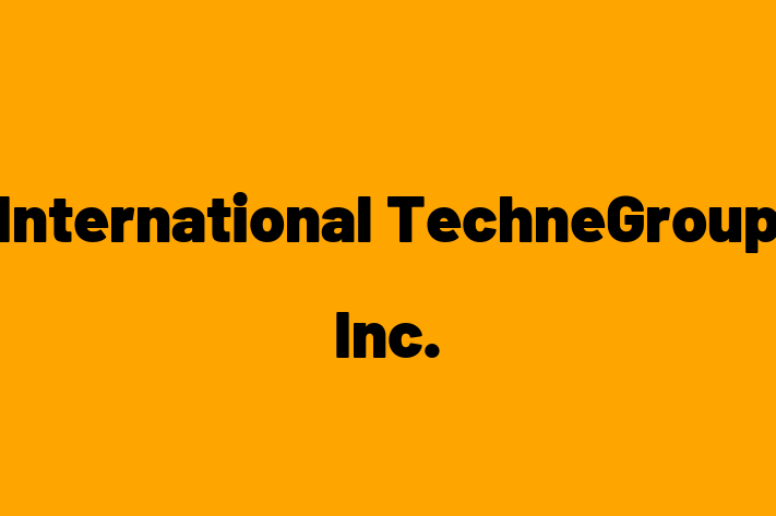 Software Development Company International TechneGroup Inc.