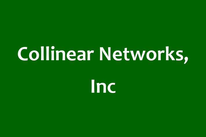 Software Solutions Provider Collinear Networks Inc