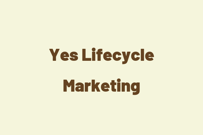 Software Firm Yes Lifecycle Marketing