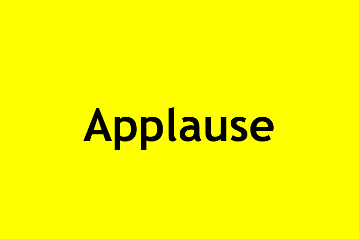 Software Solutions Provider Applause