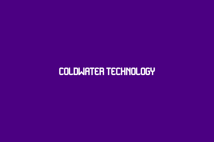 IT Company Coldwater Technology