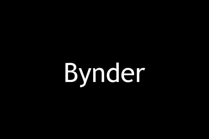 Software Solutions Provider Bynder