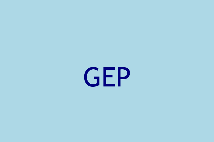 Software Engineering Company GEP