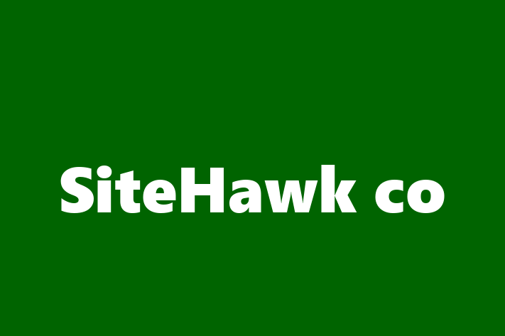 Software Engineering Company SiteHawk co