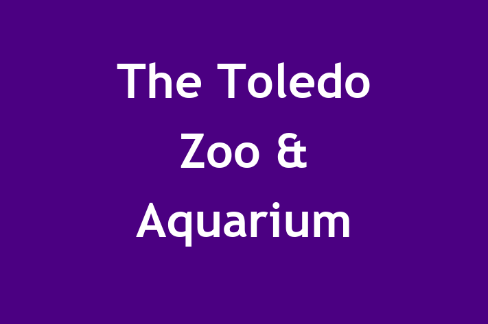 Human Resource Management The Toledo Zoo  Aquarium