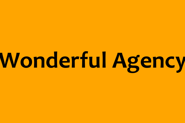 IT Company Wonderful Agency