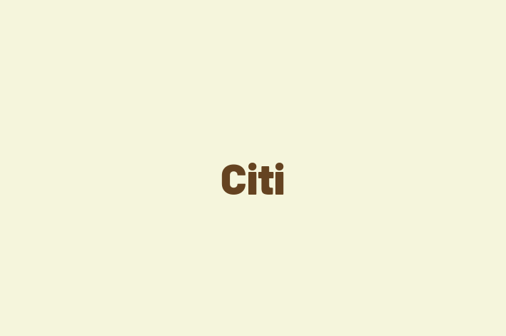 Workforce Management Citi