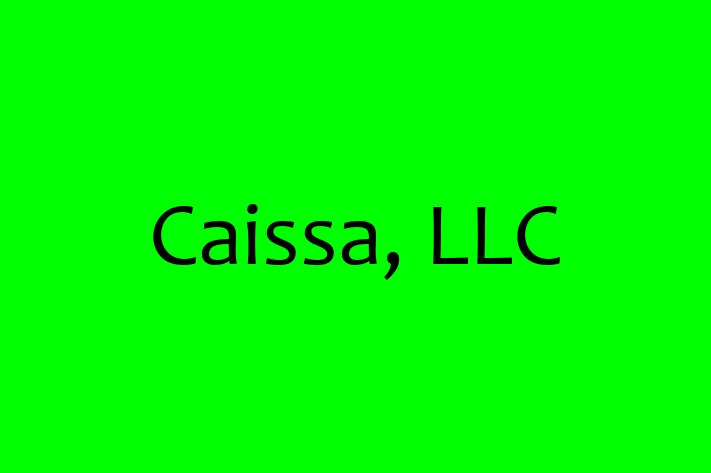 Application Development Company Caissa LLC