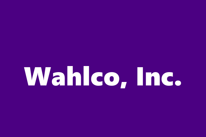 Technology Solutions Firm Wahlco Inc.