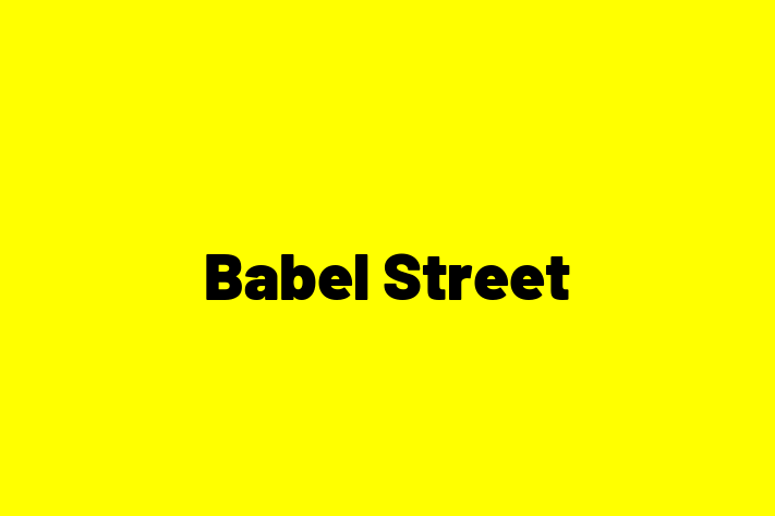 Software Services Company Babel Street