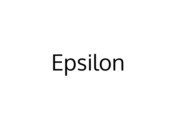 Software Engineering Company Epsilon