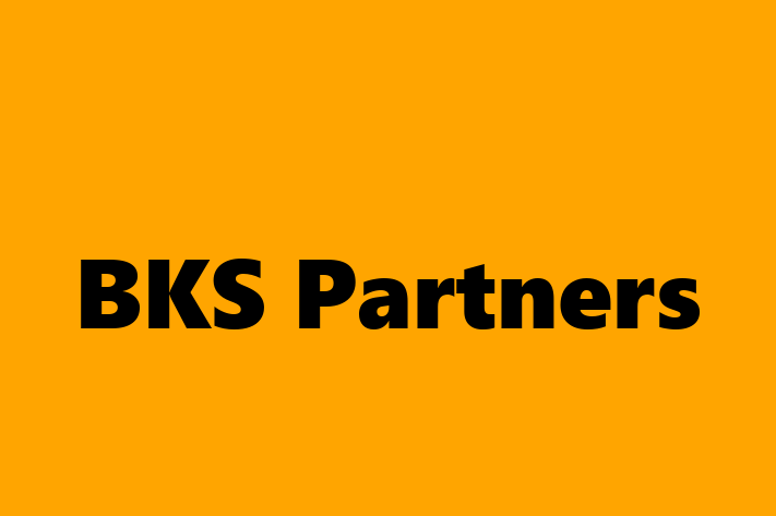 Talent Management BKS Partners