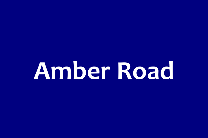 IT Company Amber Road