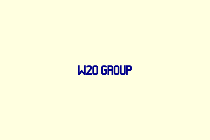 Technology Solutions Firm W2O Group