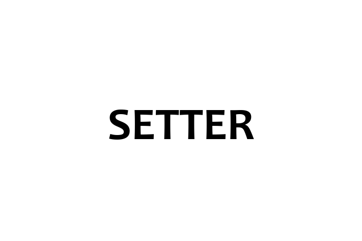 Tech Solutions Company SETTER