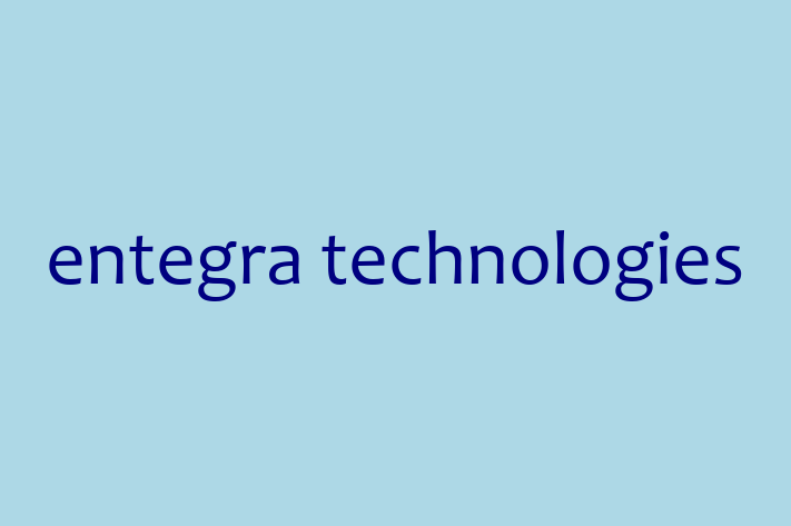 Tech Solutions Company entegra technologies