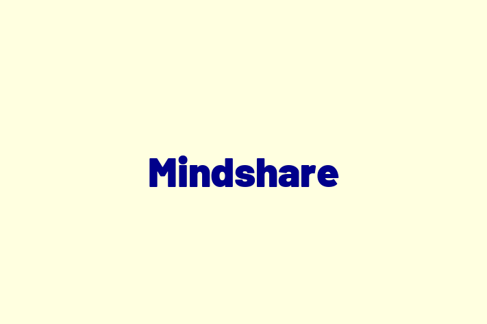 Tech Solutions Company Mindshare